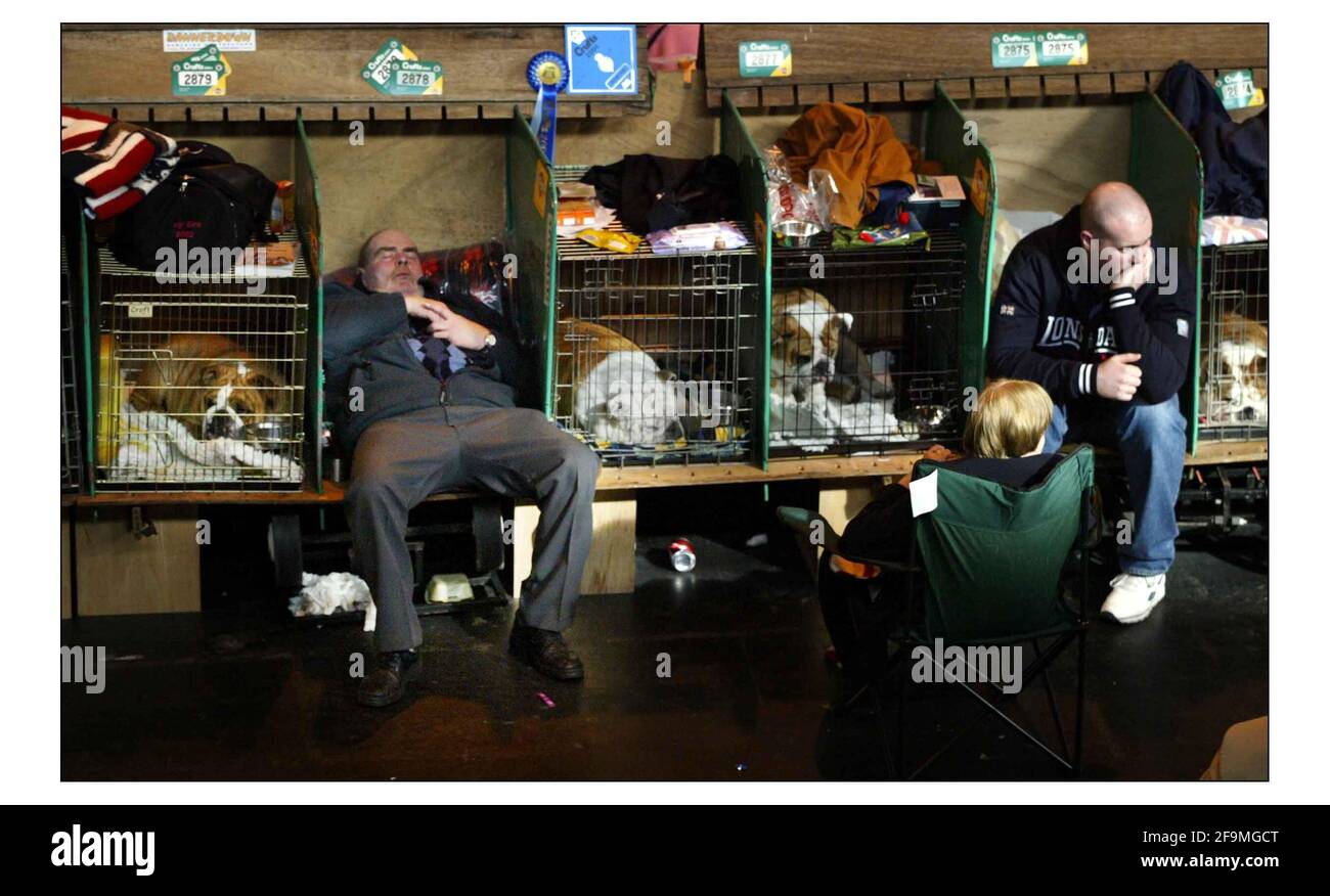 Primo giorno di spettacolo di cani da crociera al NEC in Birmingham e si è trasformata in una lunga giornata per Questo Gentleman che si addormentò accanto ai suoi cani.pic David Sandison 4/3/2004 Foto Stock