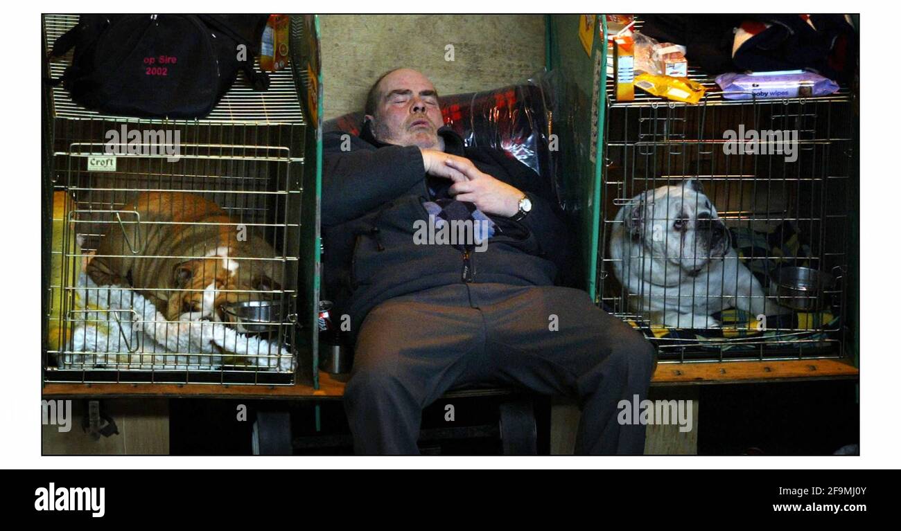 Primo giorno di spettacolo di cani da crociera al NEC in Birmingham e si è trasformata in una lunga giornata per Questo Gentleman che si addormentò accanto ai suoi cani.pic David Sandison 4/3/2004 Foto Stock