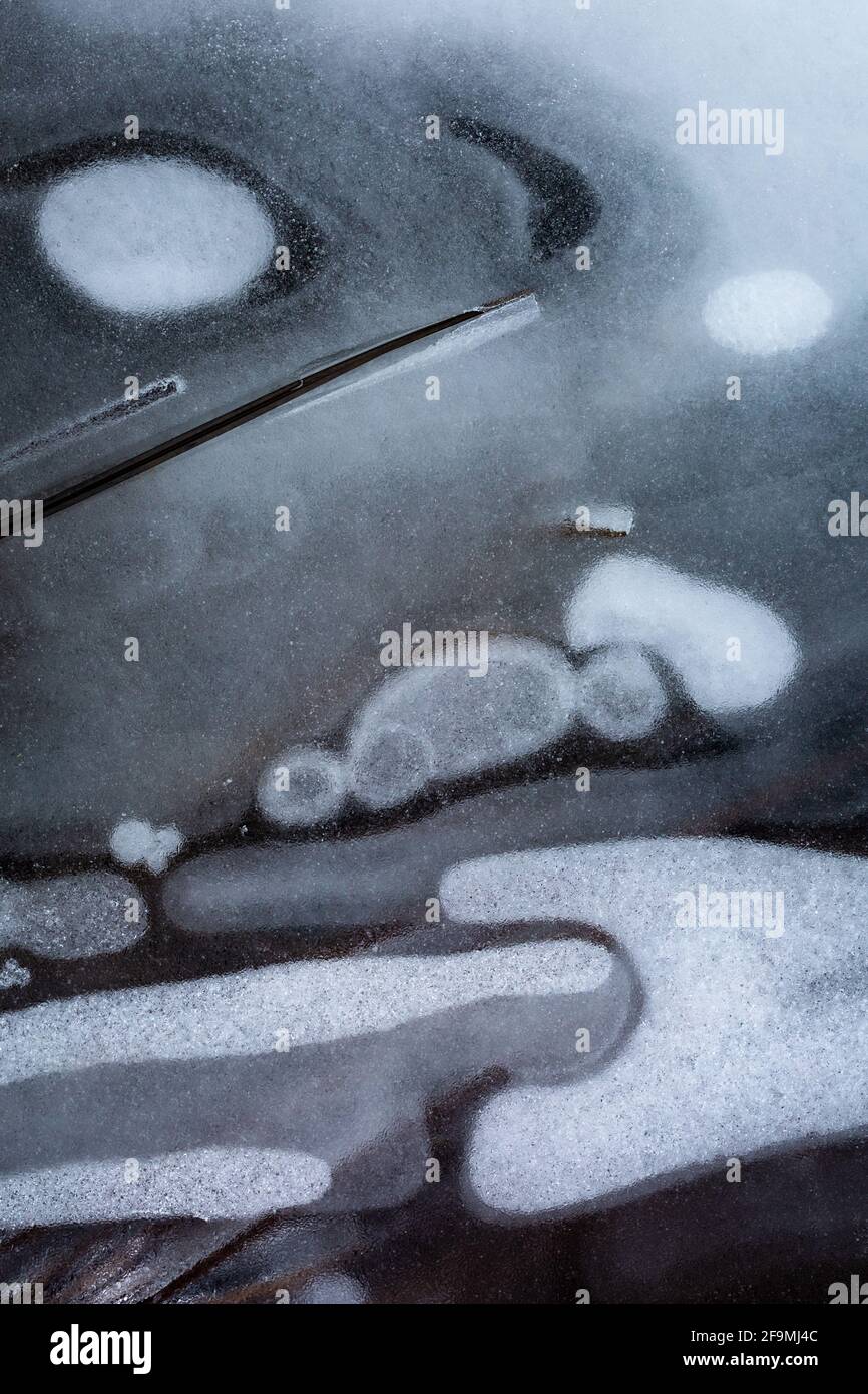 Bolle intrappolate nel ghiaccio sul fiume Turiec nel nord della Slovacchia. Foto Stock