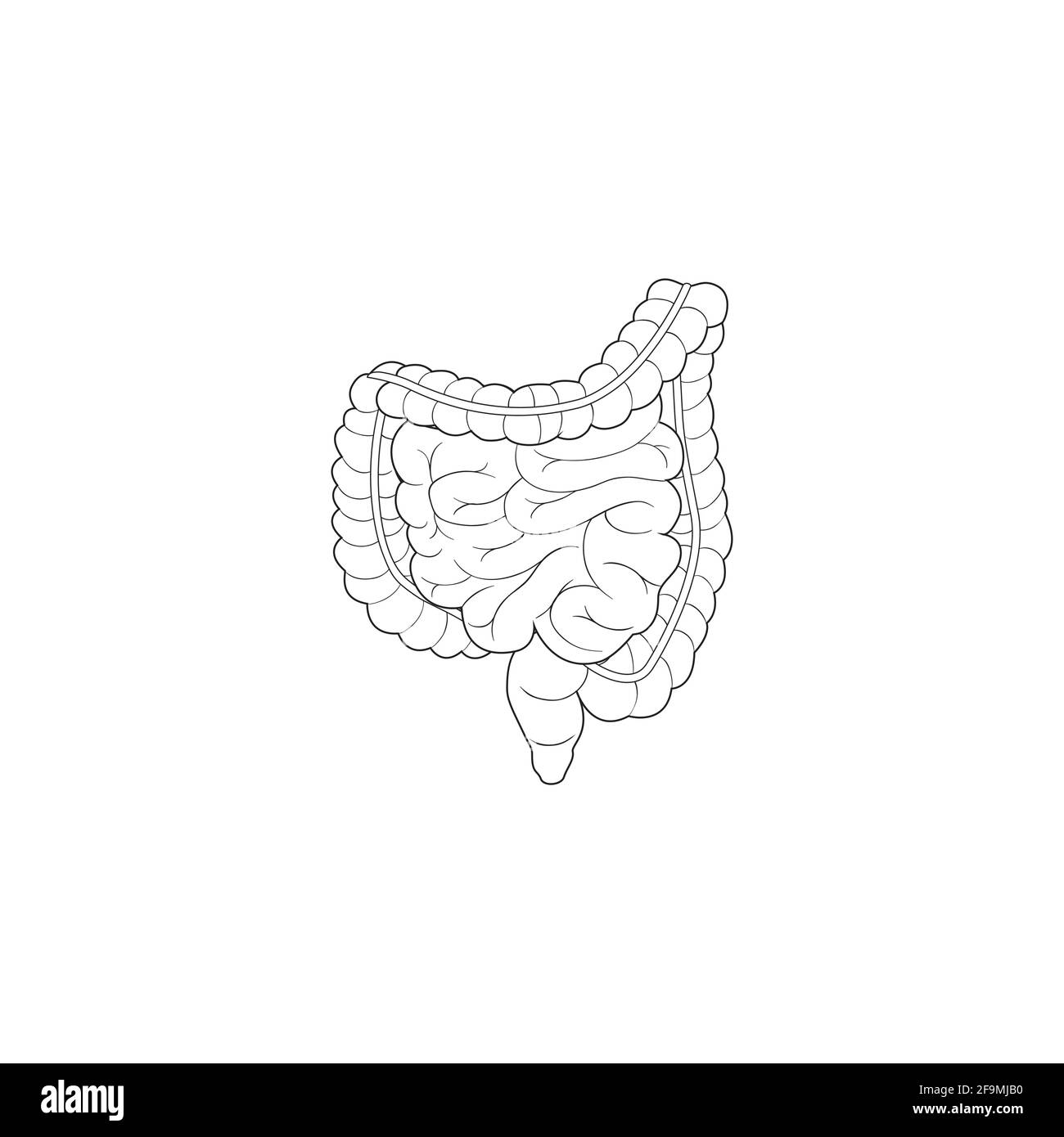 Vettore icona linea intestinale umana moderna e minimalista. Semplice segno intestinale per anatomia umana, medico o concetto sanitario. Contorno intestino organo Illustrazione Vettoriale