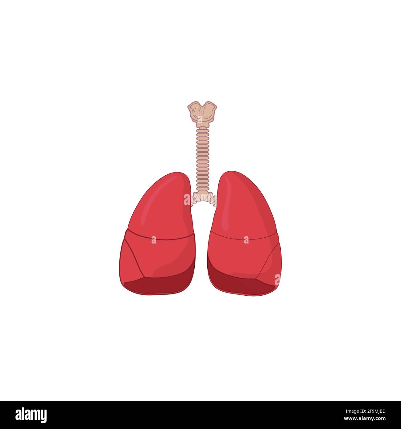 Icona del sistema respiratorio umano Illustrazione vettoriale isolata su sfondo bianco. Respirare, bronchi, bronchiolo, bronco, polmone, icona polmoni per uso medico Illustrazione Vettoriale