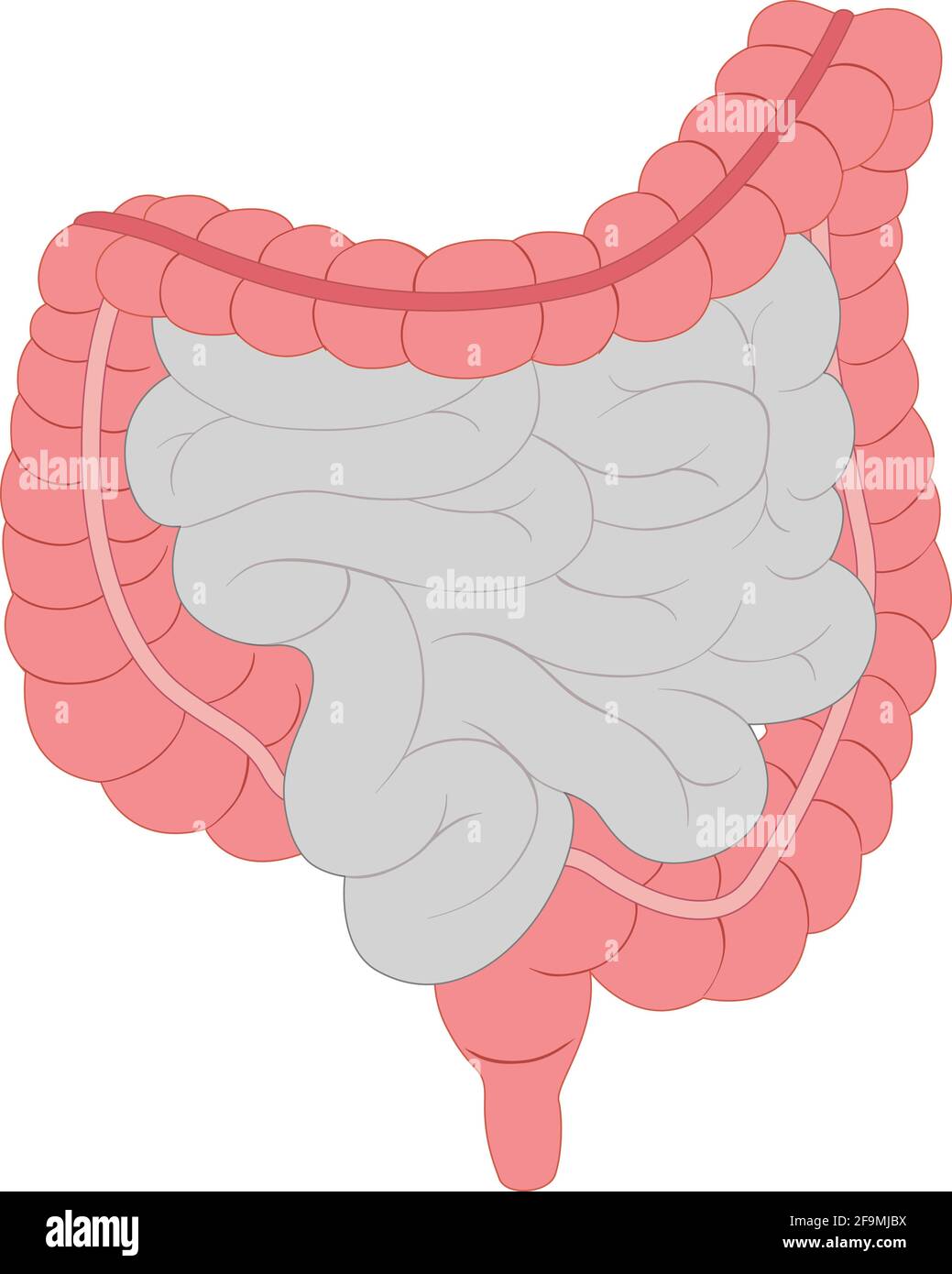 Vettore di icone moderne minimaliste del fegato umano. Semplice segno del fegato per anatomia umana, medico o concetto sanitario. Simbolo dell'organo del fegato isolato su bianco Illustrazione Vettoriale