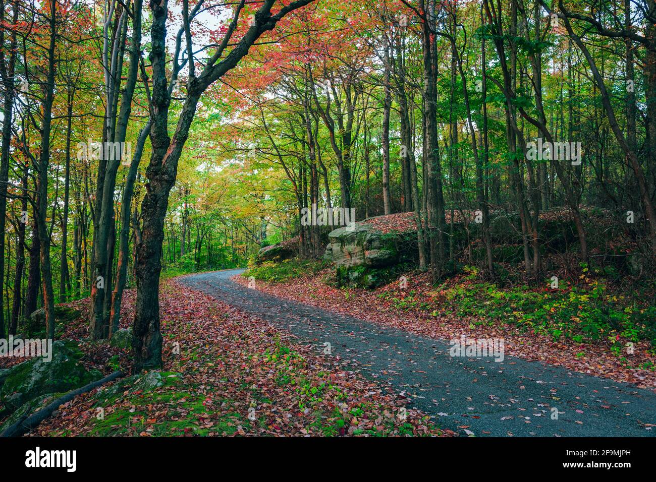 Pennsylvania in stagione Foto Stock