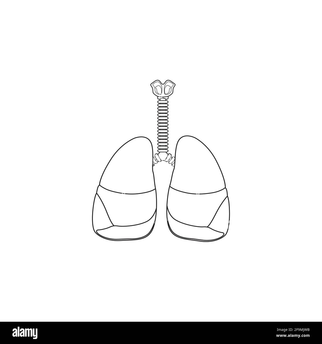 Icona della linea del sistema respiratorio umano vettore isolato su sfondo bianco. Respirare, bronchi, bronchiolo, bronco, polmone, icona del contorno dei polmoni per uso medico Illustrazione Vettoriale