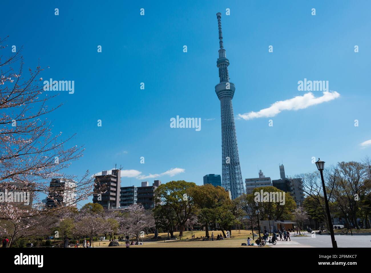 Tokyo, Giappone - Tokyo Skytree vista dal Sumida Park a Sumida, Tokyo, Giappone. Foto Stock
