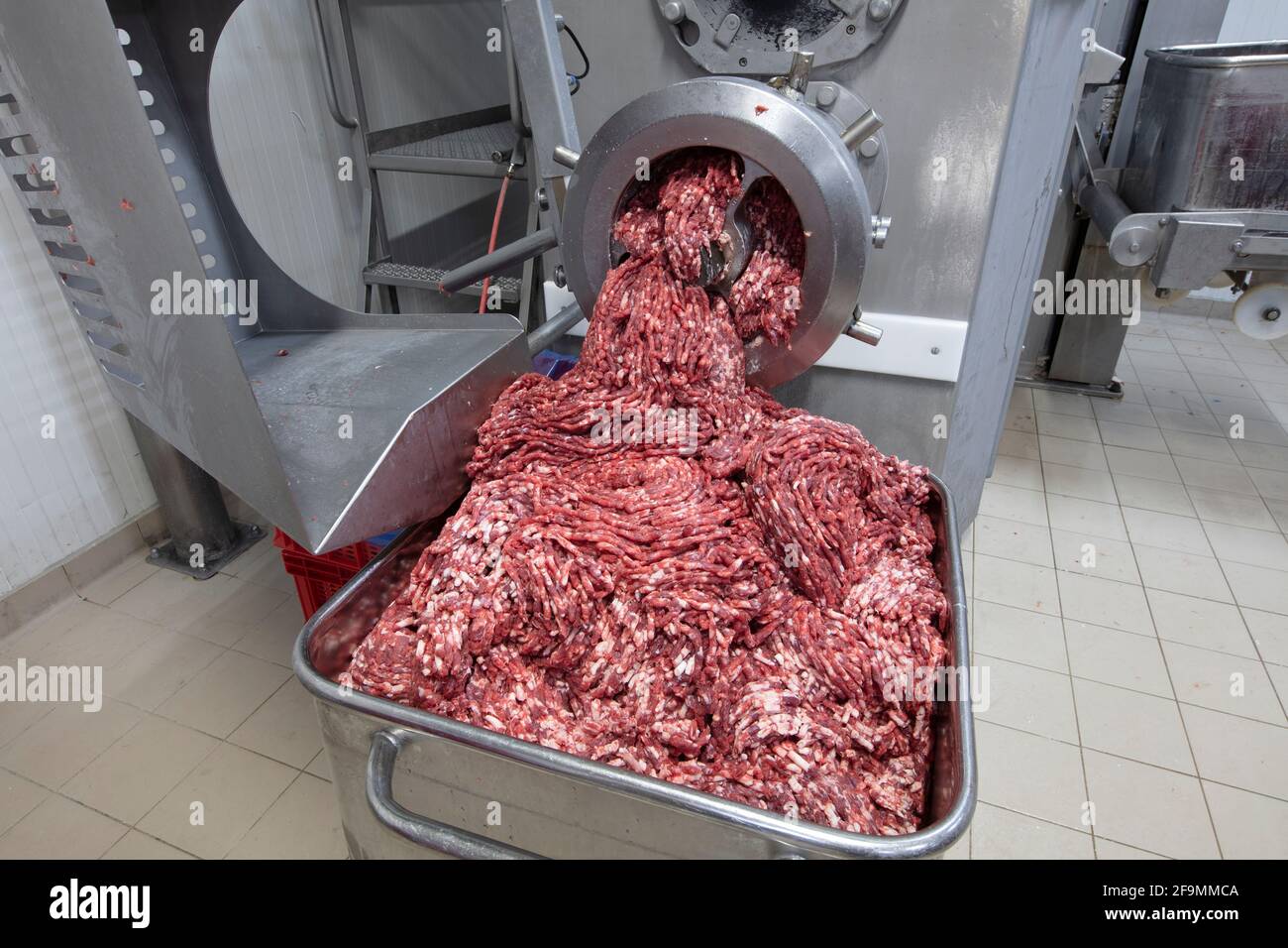 La carne nel macinacaffè. L'industria della carne. Carne macinata estrusa da una macchina trituratrice industriale. Foto Stock