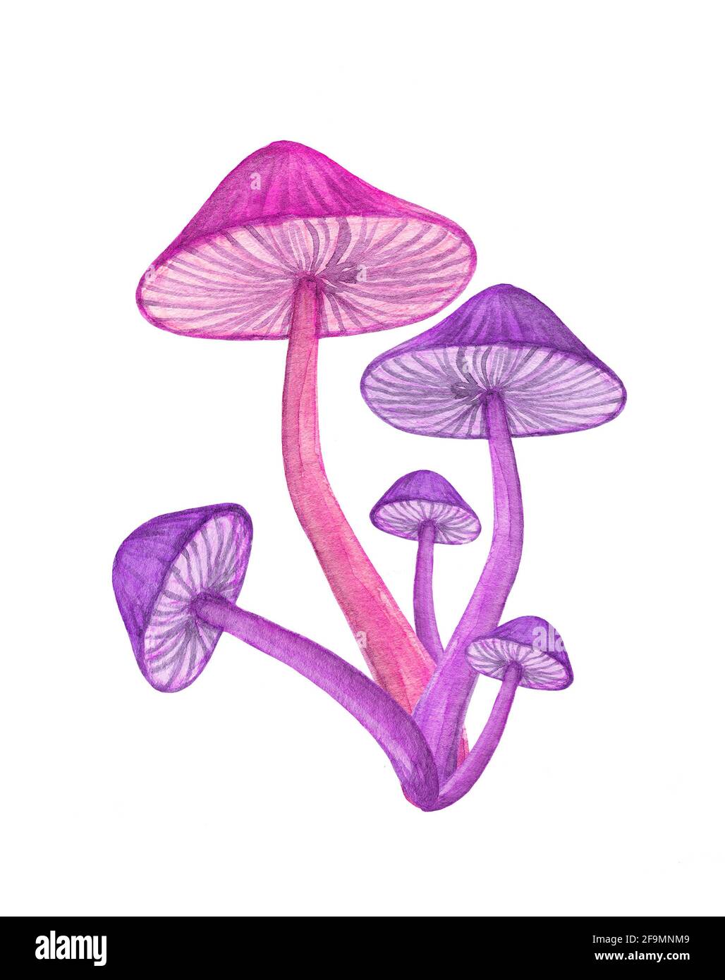 Mazzo di funghi viola isolato su sfondo bianco. Sgabello incandescente al neon Foto Stock