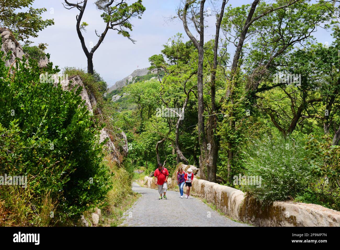 Tour a piedi sulla collina fino al palazzo pena a Sintra, Portogallo. Foto Stock