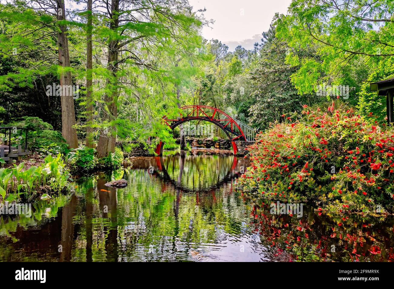 Il Moon Bridge, chiamato anche l'Oriental Bridge, è raffigurato nel giardino asiatico-americano a Bellingrath Gardens a Theodore, Alabama. Foto Stock