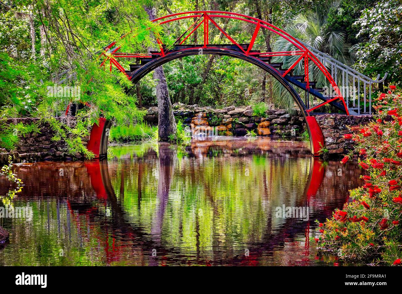 Il Moon Bridge, chiamato anche l'Oriental Bridge, è raffigurato nel giardino asiatico-americano a Bellingrath Gardens a Theodore, Alabama. Foto Stock