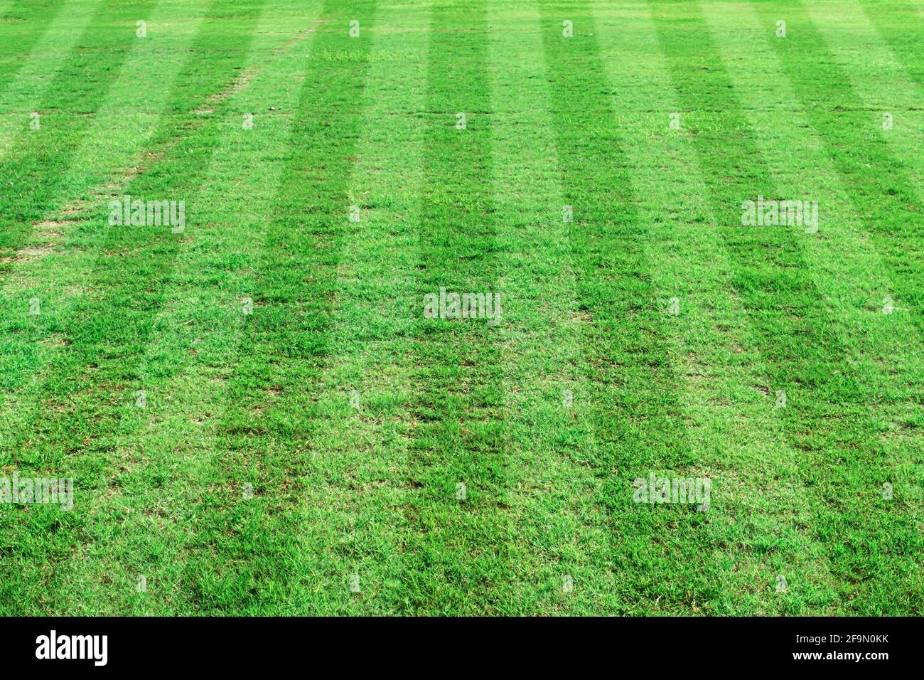 Campo da calcio a strisce. Sport prato sfondo. Foto Stock