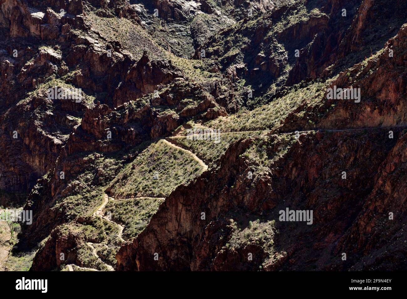 Cavatappi del diavolo del Bright Angel Trail, South Rim - Grand Canyon Arizona Foto Stock