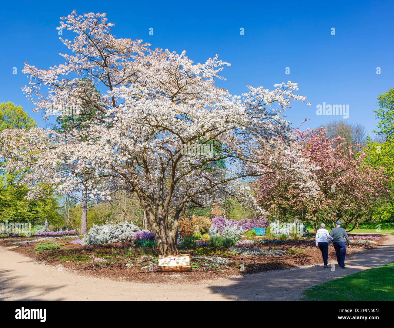 Coppia senior che cammina nei giardini di Wisley. Foto Stock