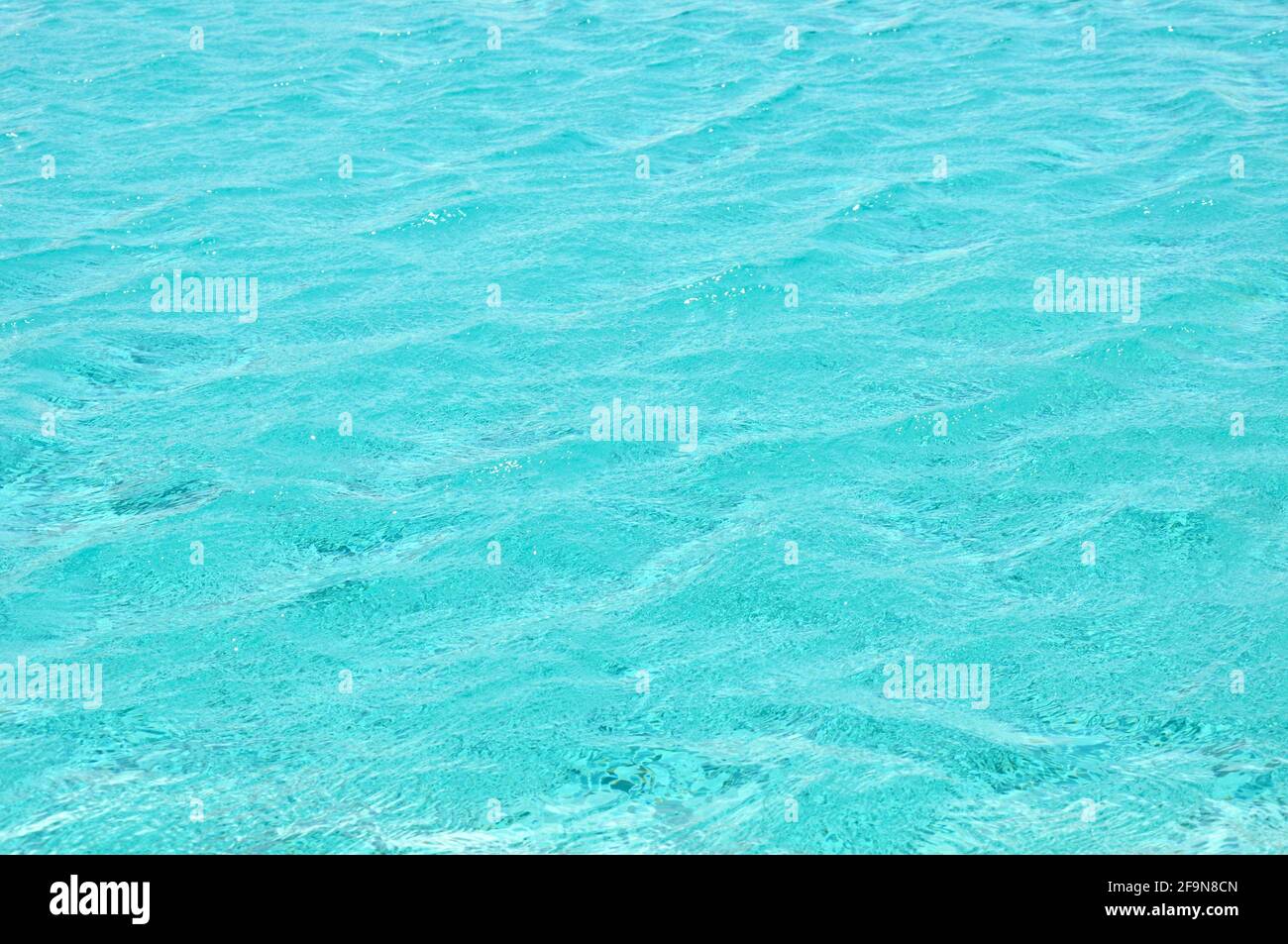 Acqua blu increspata in piscina Foto Stock