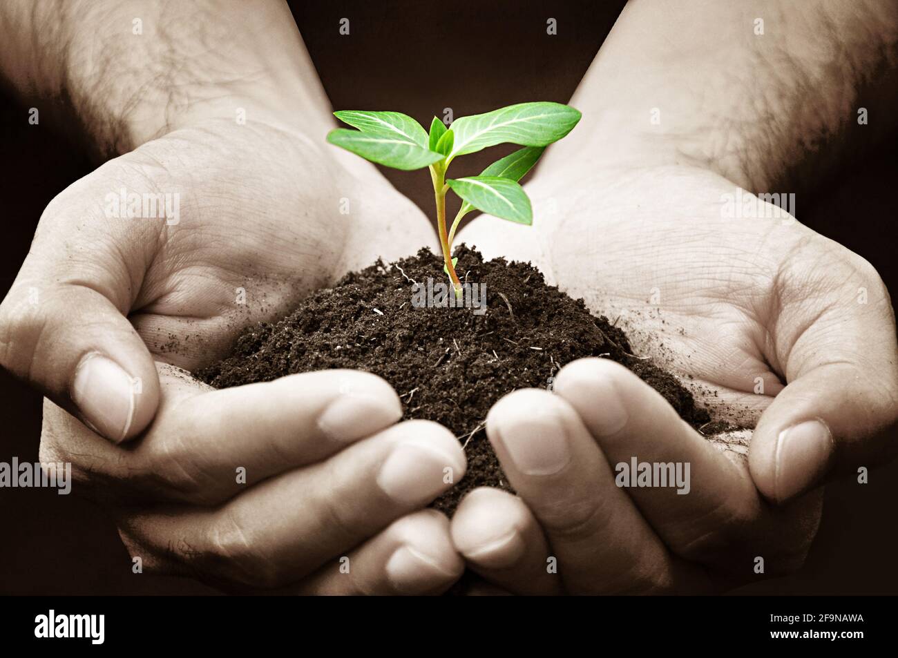 Mani che tengono la sega verde con il suolo Foto Stock