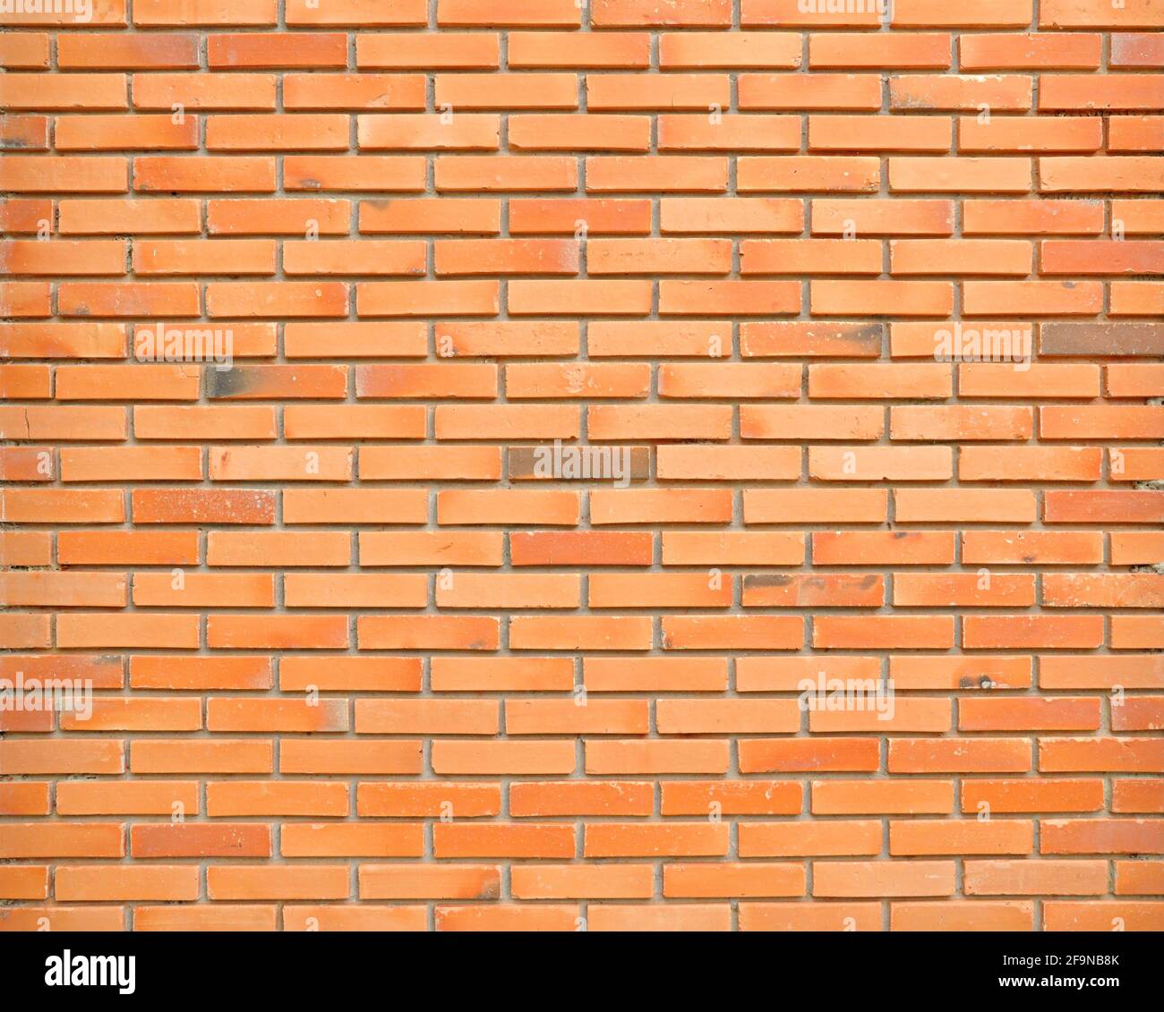 Parete di mattoni sfondo texture Foto Stock