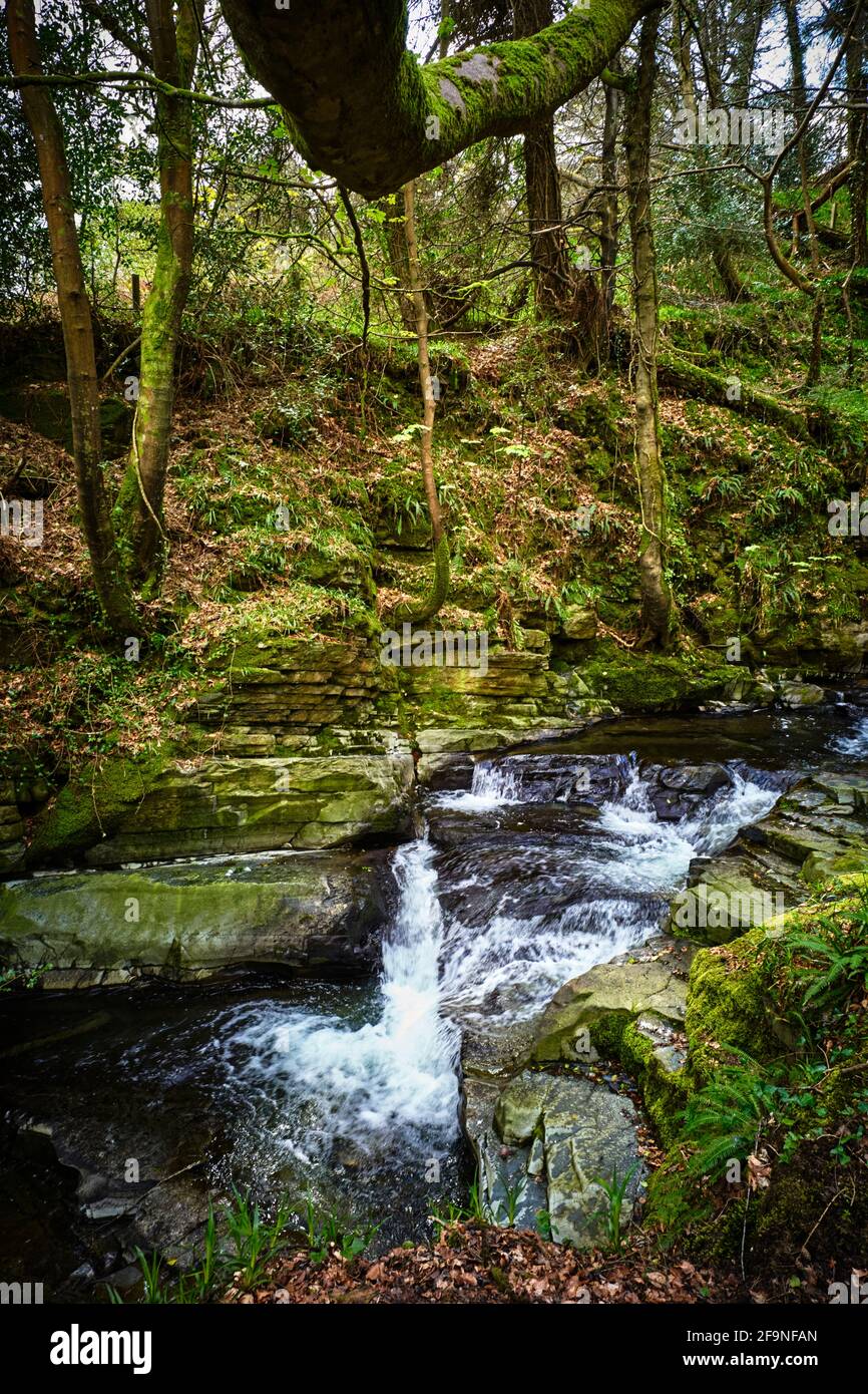 Il ruscello a Ballaglass Glen nell'Isola di Uomo Foto Stock