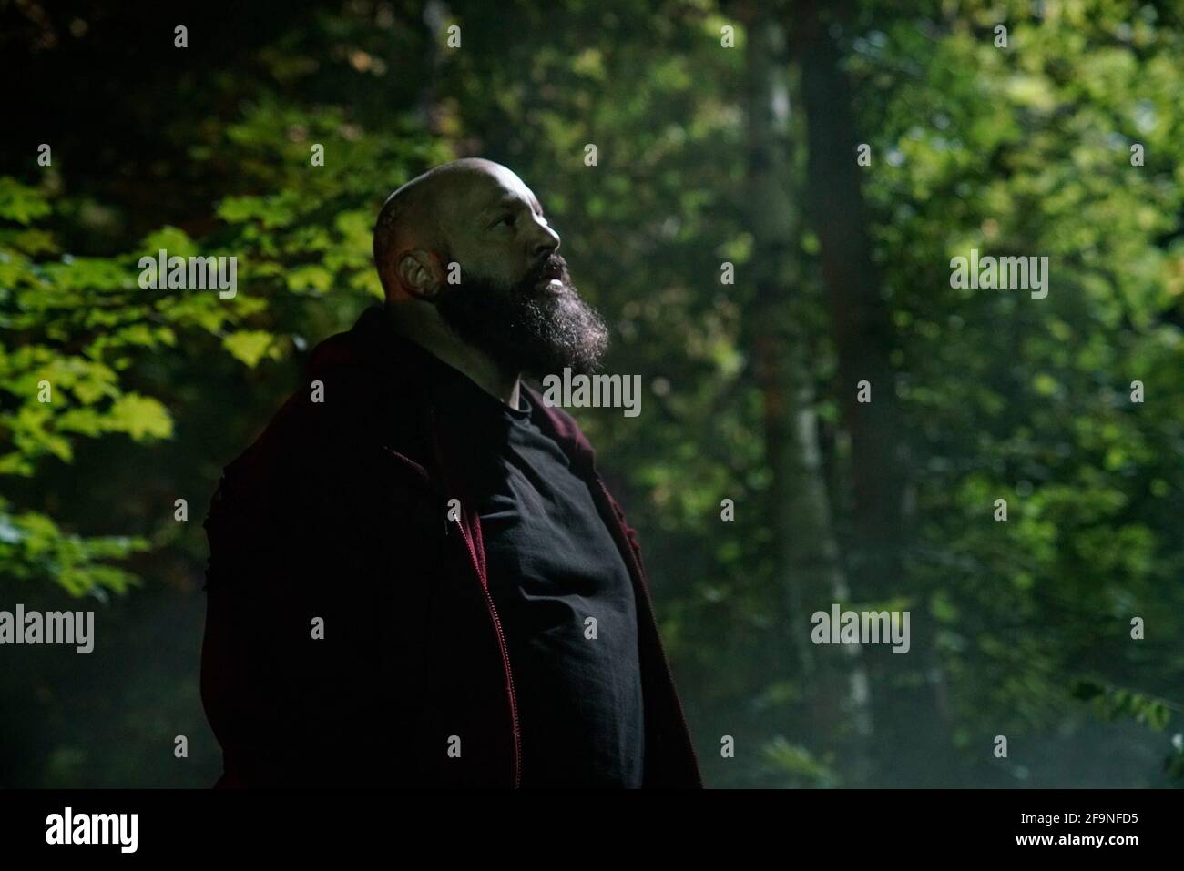 KEVIN JAMES in BECKY (2020), diretto da JONATHAN MILOTT e CARY MURNION. Credito: Distribuzione quiver / Redbox Entertainment / Album Foto Stock