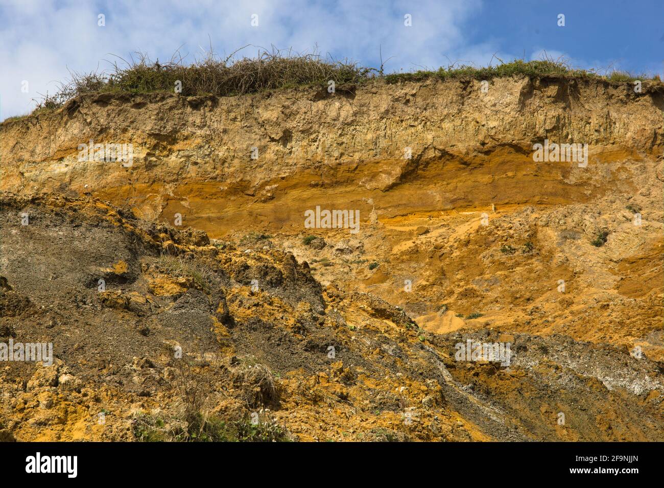 Vista di una parte della costa jurassica della Gran Bretagna, le scogliere, la falesia rossa e l'argilla londinese risalenti alla preistoria bassa Eocene Foto Stock
