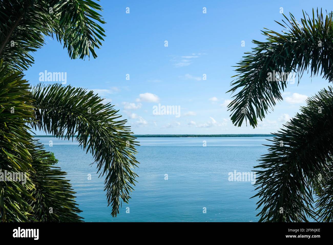 Vista mare e isola attraverso palme da un albero di palme, concetto tropicale Foto Stock
