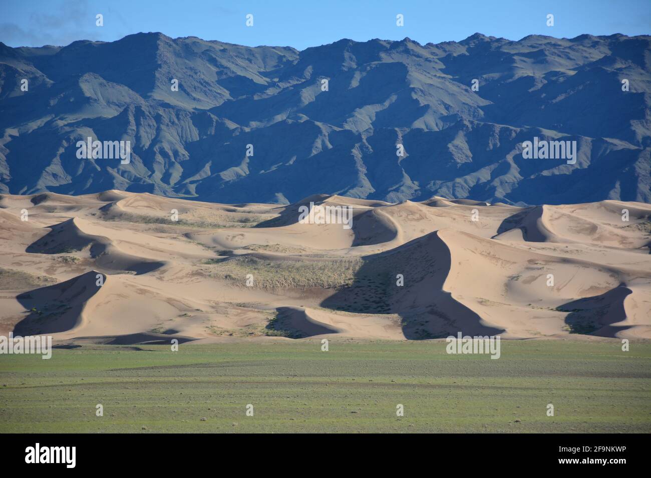 Un paesaggio stratificato di montagne, dune di sabbia e steppa a Khongoryn Els nel Parco Nazionale Gobi Gurvansaikhan, deserto Gobi, Mongolia. Foto Stock