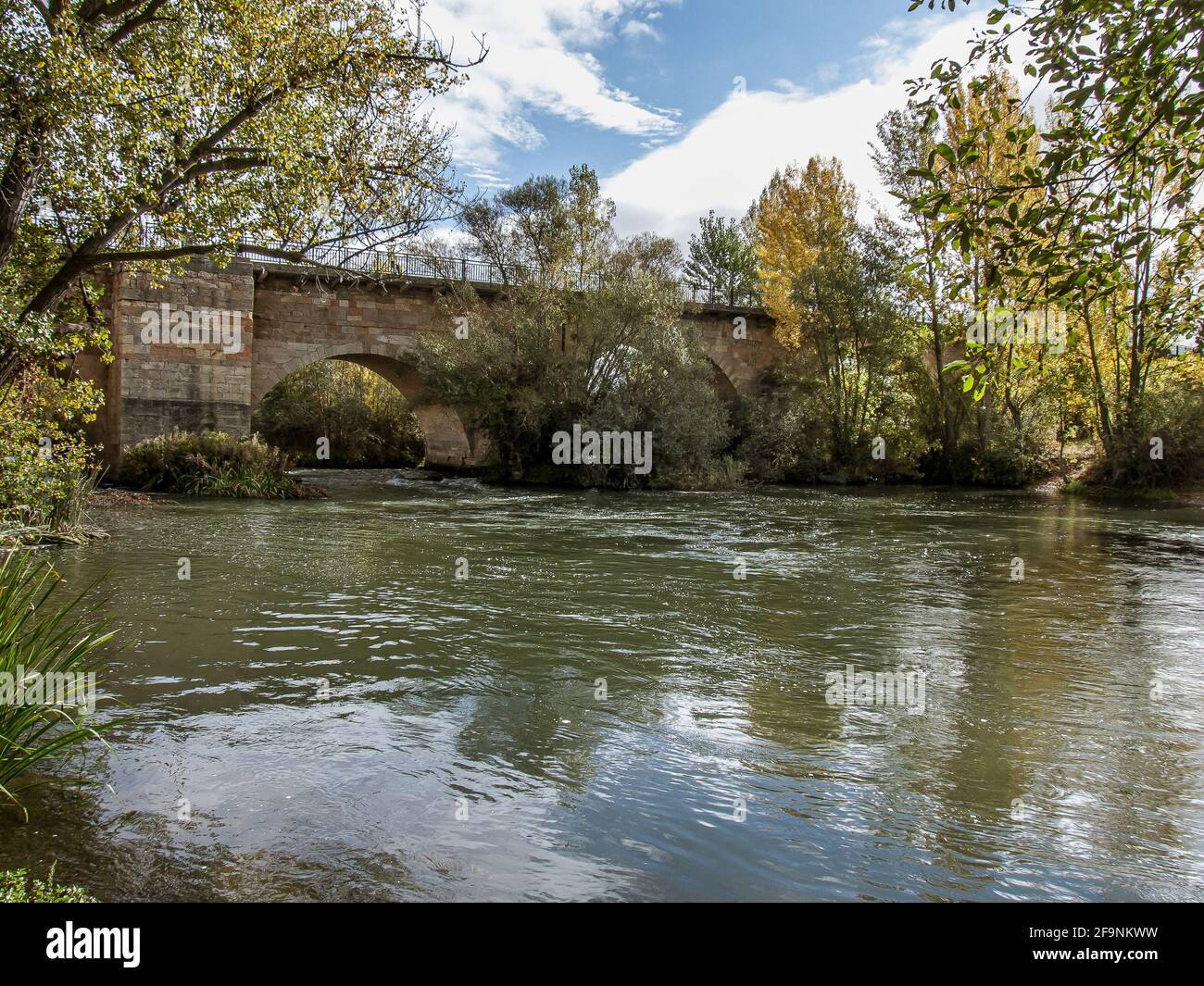 Acqua corrente di Rio Porma sotto il ponte di Villarente, Spagna, 23 ottobre 2009 Foto Stock