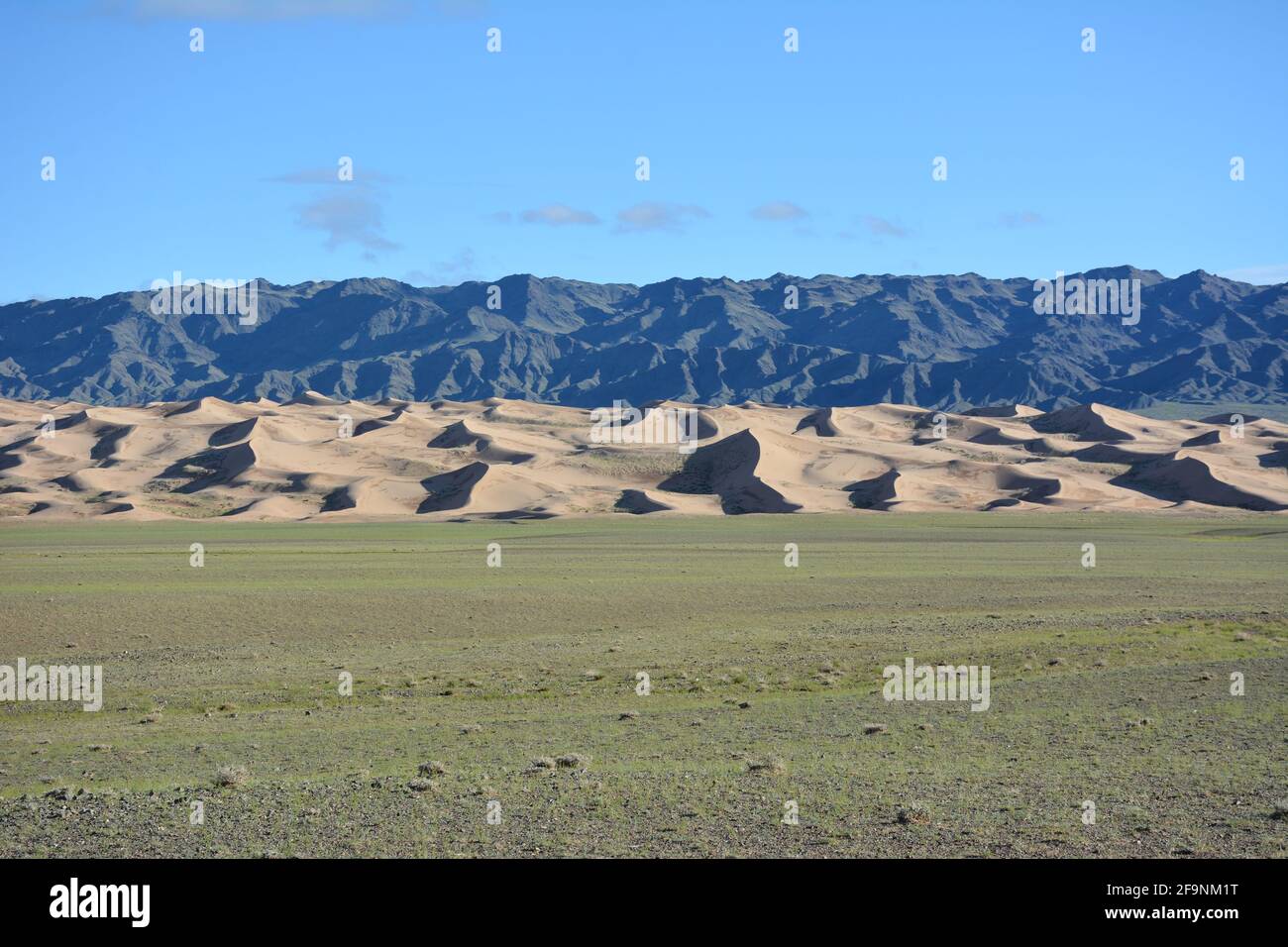 Un paesaggio stratificato di montagne, dune di sabbia e steppa a Khongoryn Els nel Parco Nazionale Gobi Gurvansaikhan, deserto Gobi, Mongolia. Foto Stock