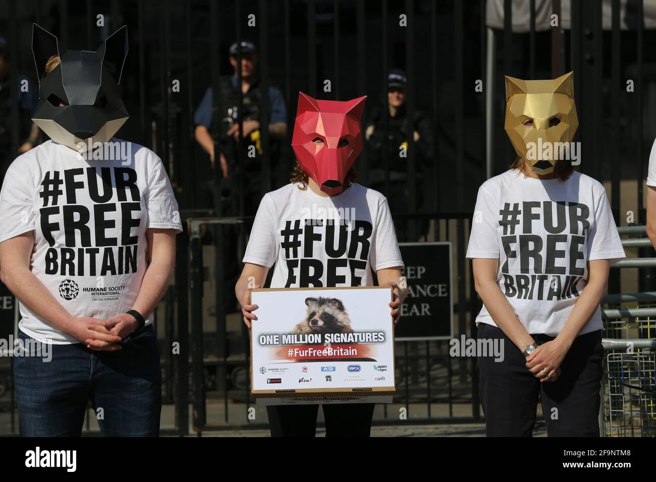 Londra, Inghilterra, Regno Unito. 20 Apr 2021. Gli attivisti mascherati da Fox hanno presentato 1 milione di firme al n. 10 chiedendo un divieto di vendita di pellicce nel Regno Unito prima del 10 Minute Rule Bill che sarà discusso domani alla Camera dei Comuni. Credit: Tayfun Salci/ZUMA Wire/Alamy Live News Foto Stock