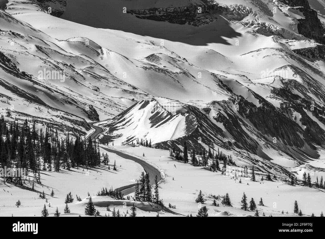 Scena invernale Canadian Rockies, Banff National Park, Alberta, Canada Foto Stock