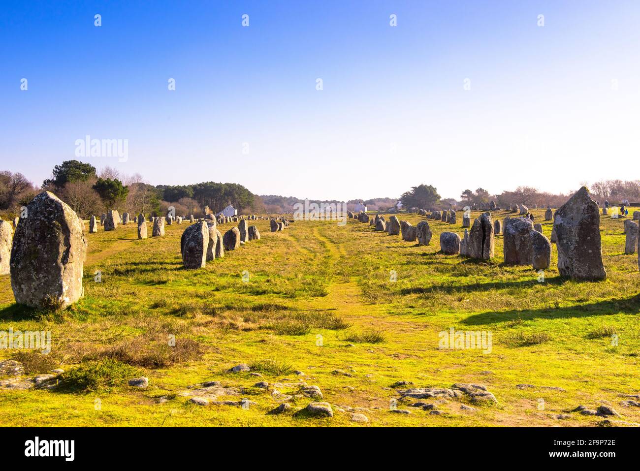 Chilometri lungo allineamento di pietre megalitiche a Carnac, Bretagna Foto Stock