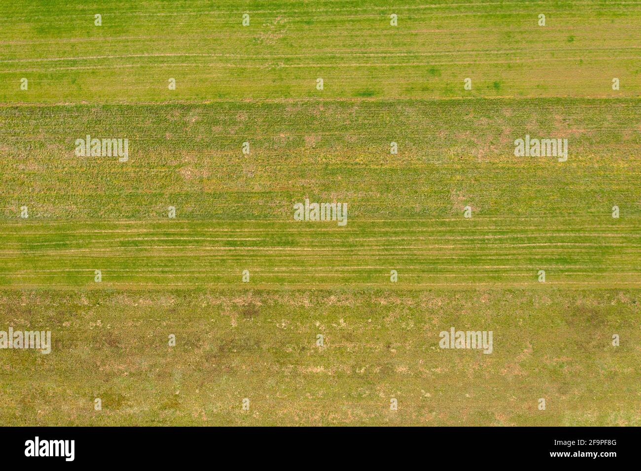 Kishartyán, Ungheria - Vista aerea sul campo agricolo coltivato in campagna, struttura agricola. Foto Stock