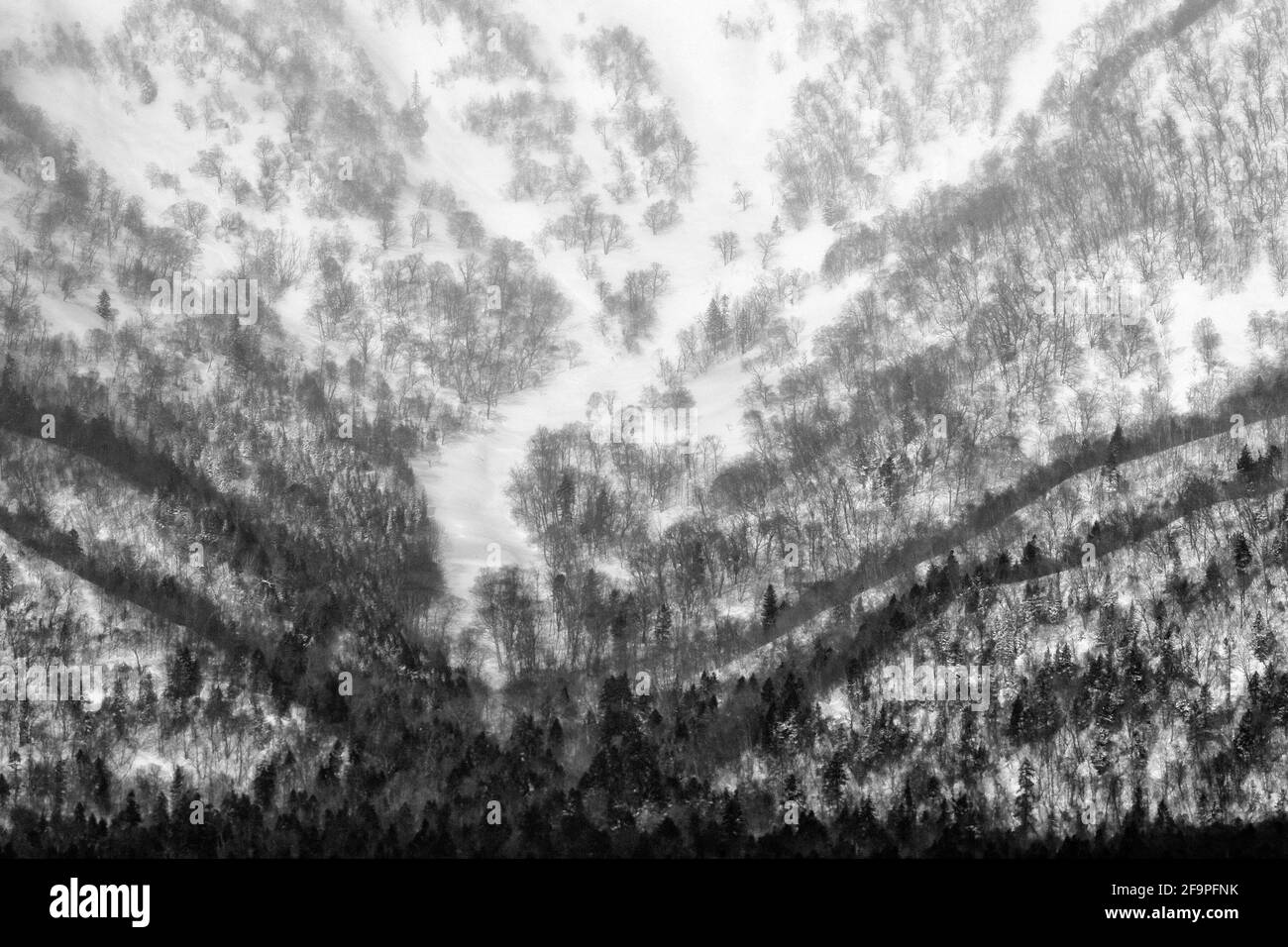 Splendido paesaggio invernale di montagna con alberi e neve. Hokkaido natura, Giappone. Colline in inverno. Viaggiare in Asia invernale. Foto Stock