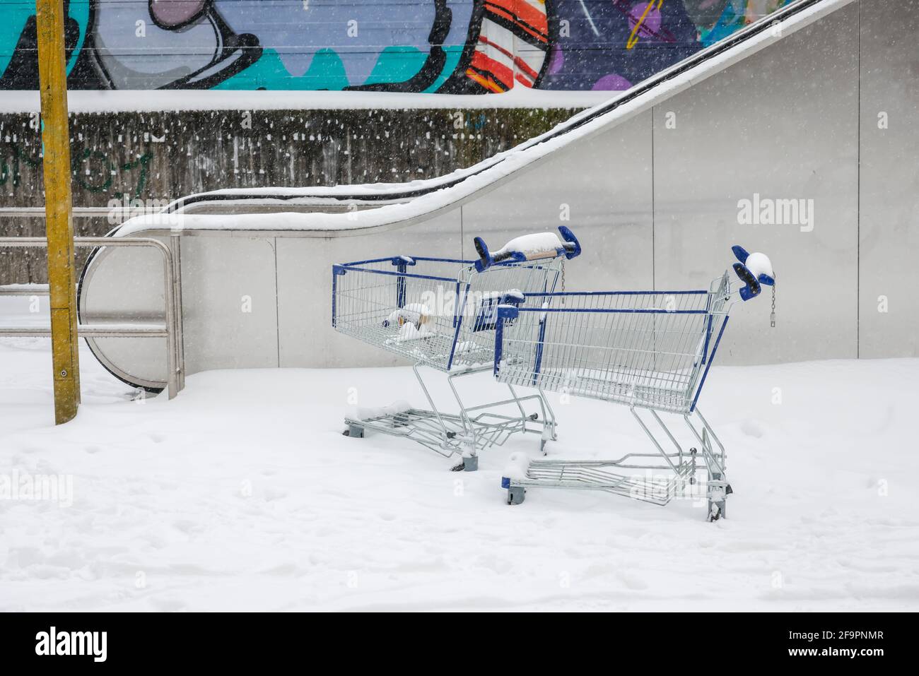 08.02.2021, Essen, Nord Reno-Westfalia, Germania - inizio invernale nella zona della Ruhr, carrelli per lo shopping in piedi nella neve a una scala mobile per la metropolitana Foto Stock