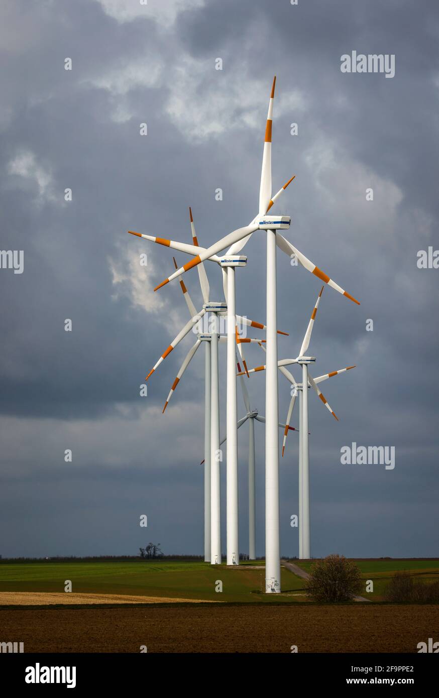 16.03.2021, Bedburg, Nord Reno-Westfalia, Germania - Wind farm, turbine eoliche Vestas di fronte al cielo nuvoloso scuro. 00X210316D035CAROEX.JPG [MODELLO REL Foto Stock