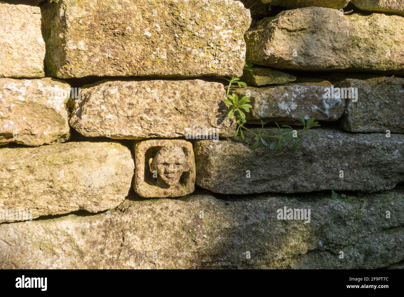 Parete in pietra a secco Cotswold con inserto caratteristico, Gloucestershire, Regno Unito Foto Stock