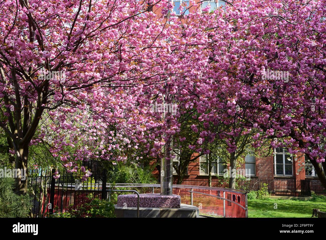 Faro di speranza in primavera, Manchester Foto Stock