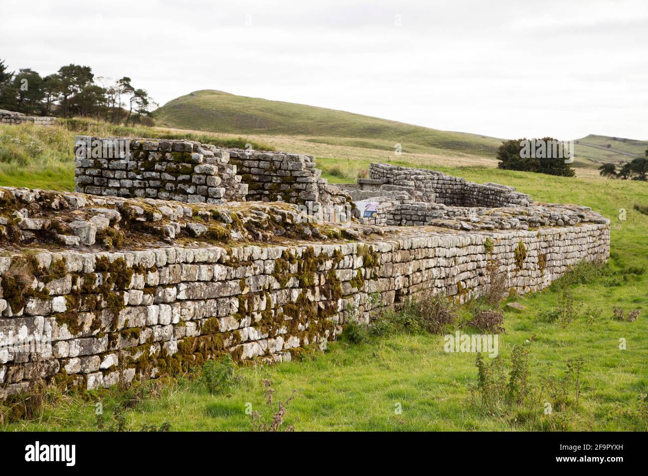 Mura a Housesteads Roman Fort in Northumberland, Inghilterra. L'antico monumento fa parte delle frontiere dell'Impero Romano Patrimonio Mondiale dell'UNESCO si Foto Stock