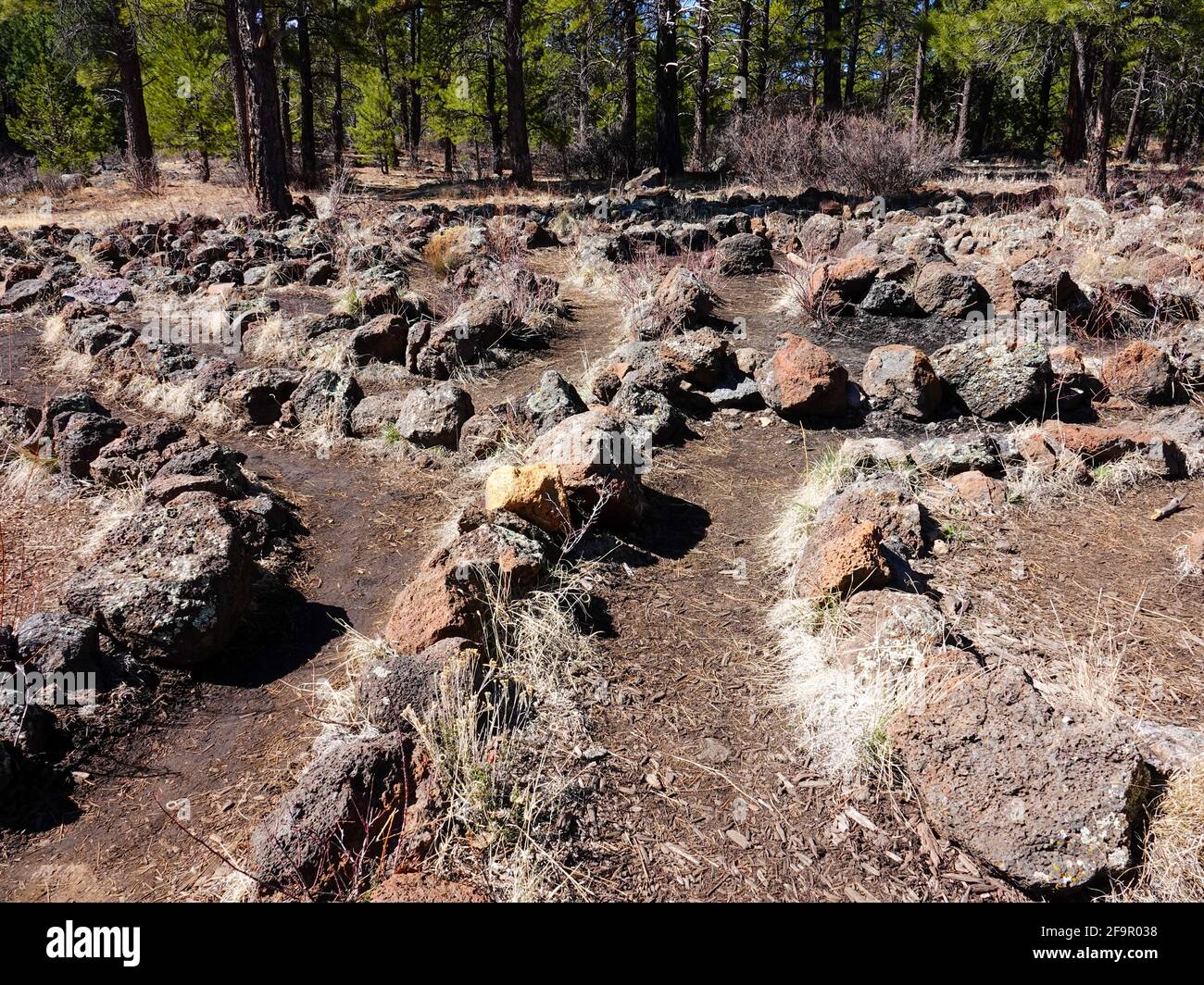 Labirinto di meditazione "Toe of the Flow", fatto di roccia lavica e calcarea e adagiato in una pineta, Sawmill Park, Flagstaff, Arizona, USA. Foto Stock