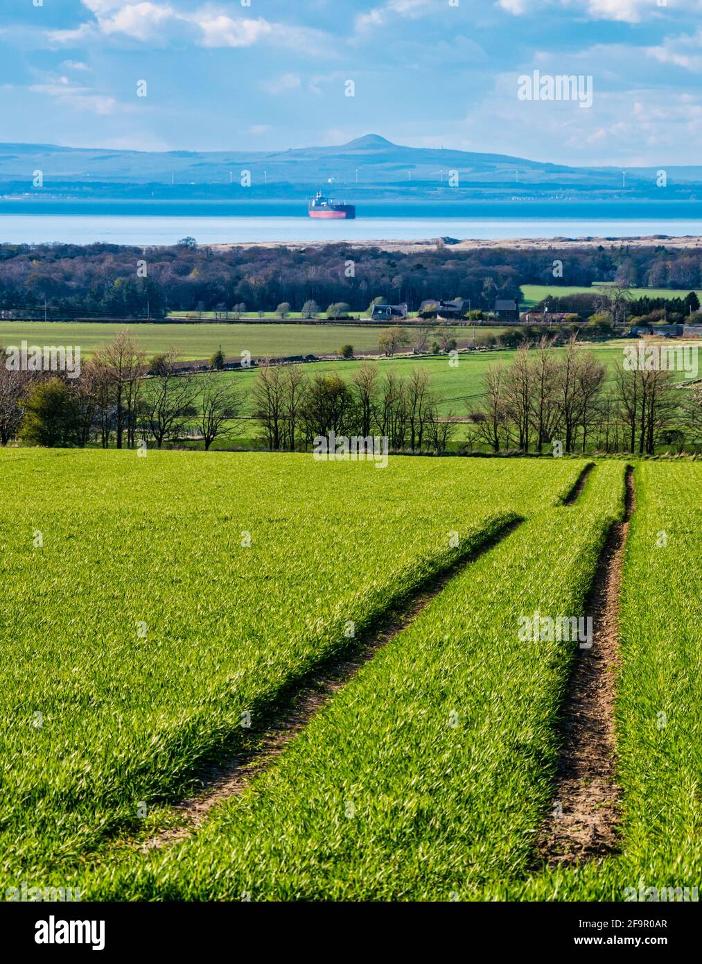 Vista attraverso il campo di coltura verde fino a Firth of Forth con nave cisterna ancorata, East Lothian, Scozia, Regno Unito Foto Stock