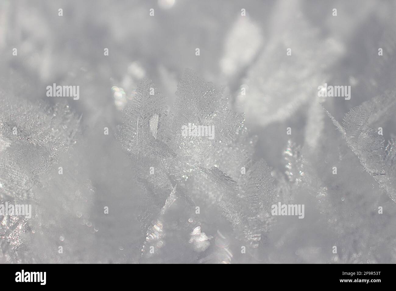 Un mare di cristalli di ghiaccio - sembra un letto pieno di piume Foto Stock