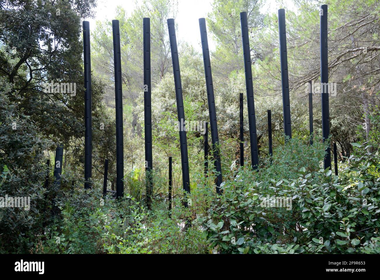 Installazione di bambù nel Jardin des Cinq Sens Aix-en-Provence Provenza Francia Foto Stock