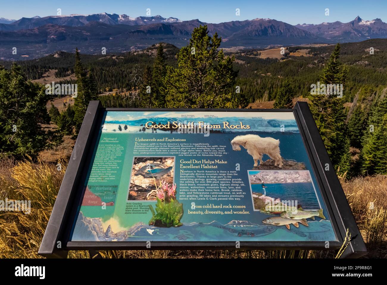 Segno interpretativo sulla geologia montana lungo la Beartooth Highway, nella Shoshone National Forest, Wyoming, USA [Nessuna pubblicazione di proprietà; disponibile per ed Foto Stock