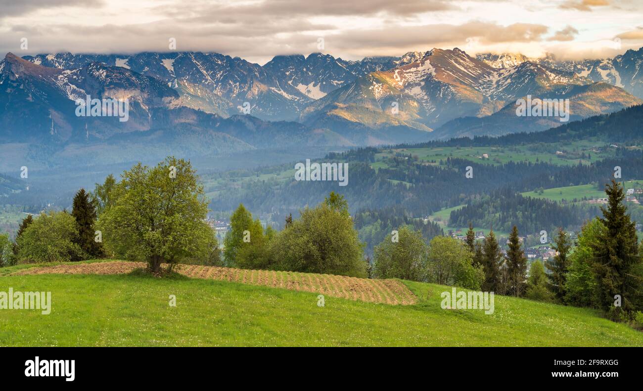 Vista dei Monti Tatra da Czarna Góra (Podhale) in molla Foto Stock