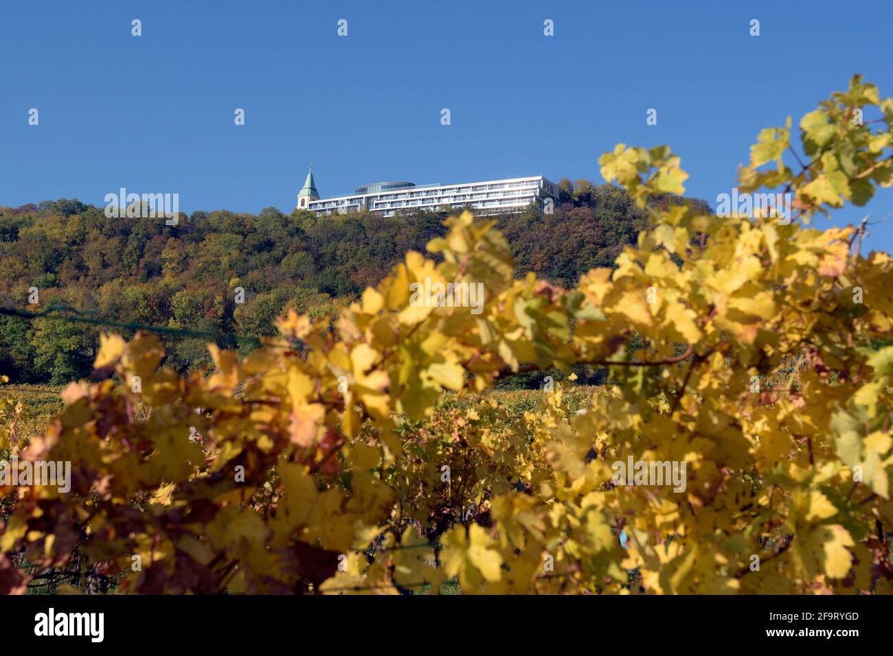 Vienna, Austria. Suite'Hotel am Kahlenberg Foto Stock