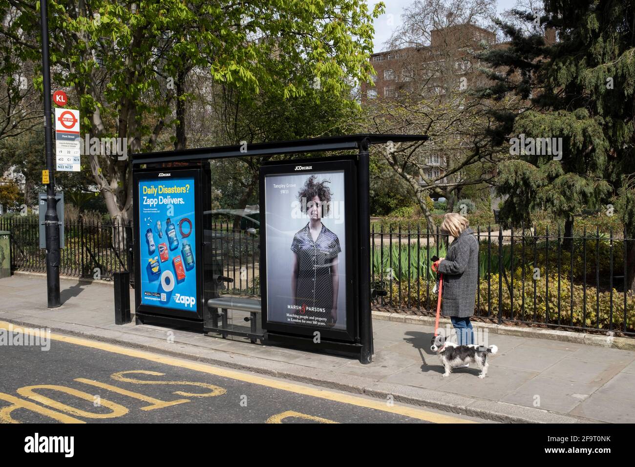 Donna con un cane shaggy capelli attende ad una fermata dell'autobus che sta facendo pubblicità ad un agente immobiliare raffigurante una donna con capelli bedragged nella zona di alta classe di Chelsea il 14 aprile 2021 a Londra, Regno Unito. Chelsea è una delle aree principali per i beni esclusivi e di lusso a Londra ovest. E' conosciuto come un quartiere dove il ricco e ricco negozio, per lo più di alta moda e gioielli. Foto Stock