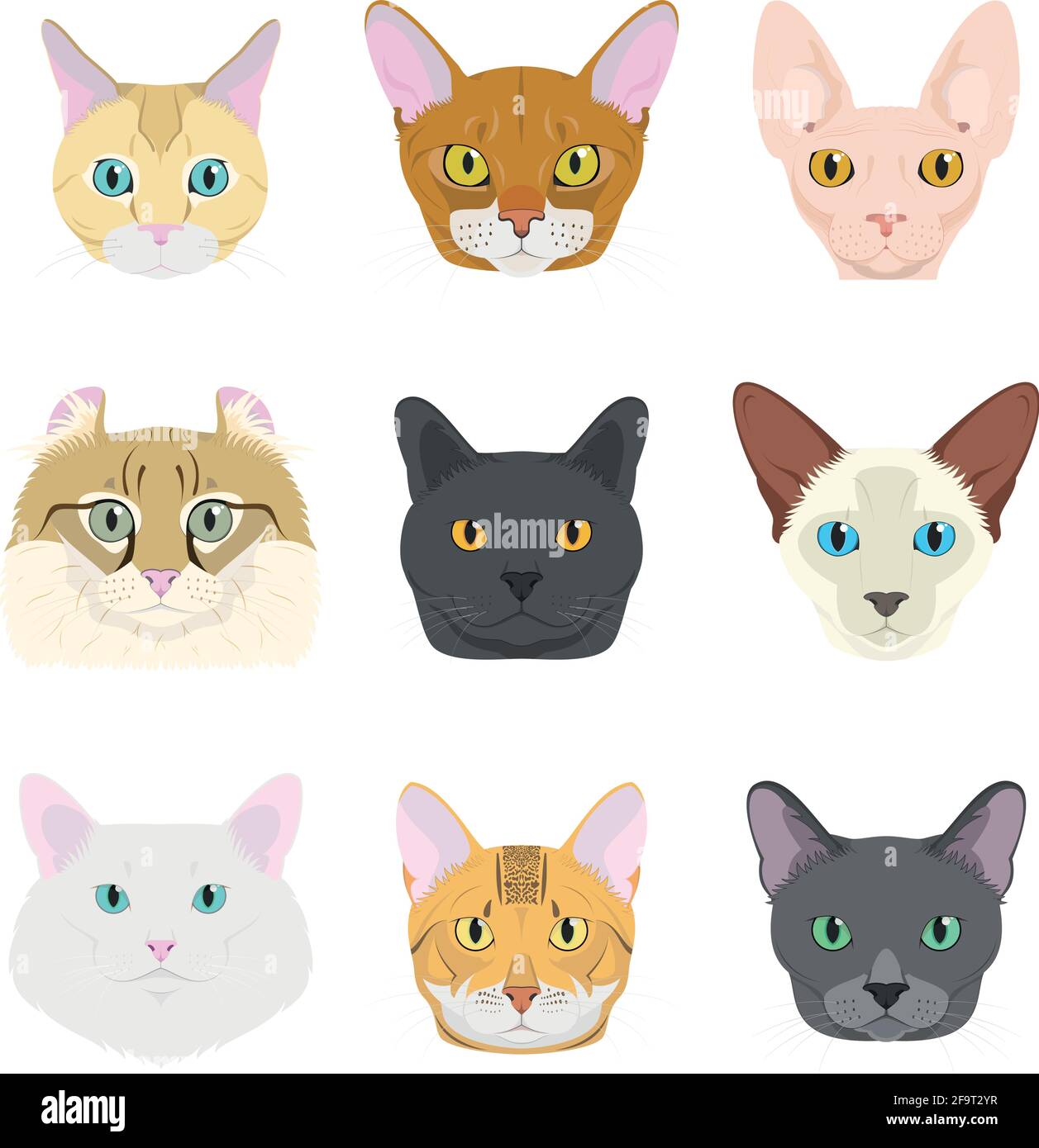 Cat Breeds Vector Collection: Set di 9 diverse razze di gatti in stile cartoon. Illustrazione Vettoriale