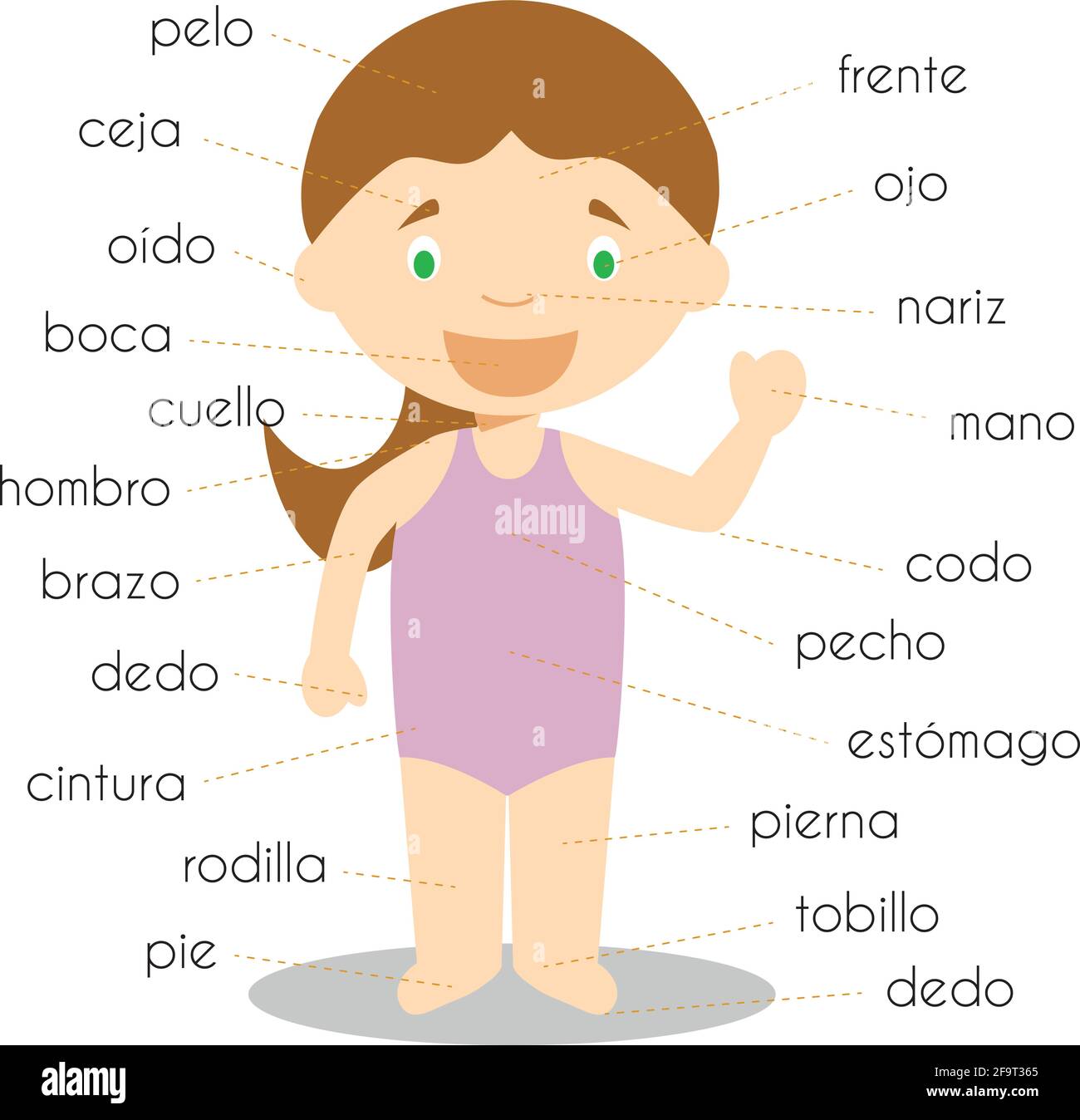 Vocabolario delle parti del corpo umano in illustrazione del vettore spagnolo Illustrazione Vettoriale