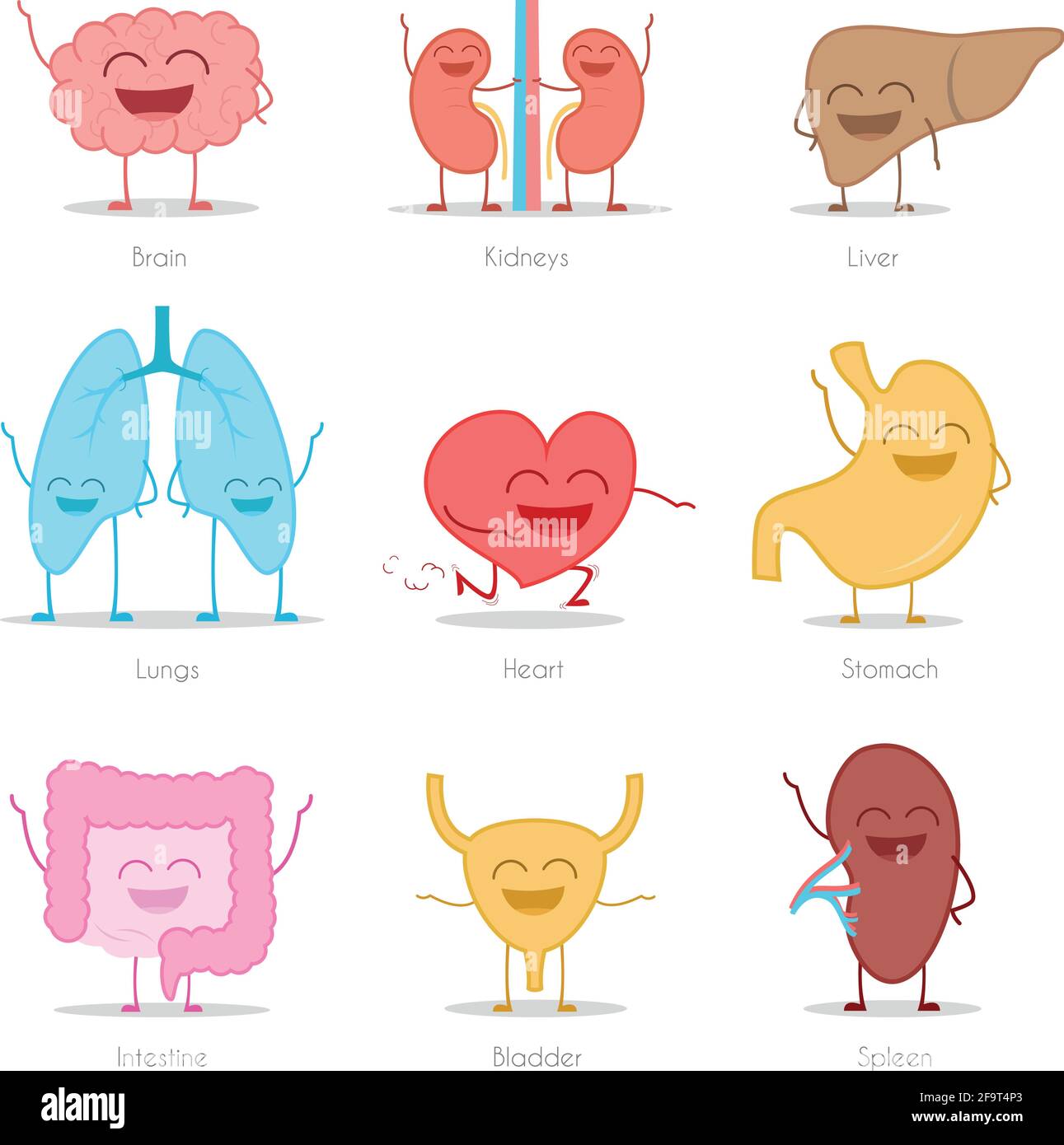 Set di 9 organi umani in stile cartoon: Cervello, reni, fegato, polmoni, cuore, stomaco, intestino, vescica e milza. Illustrazione Vettoriale