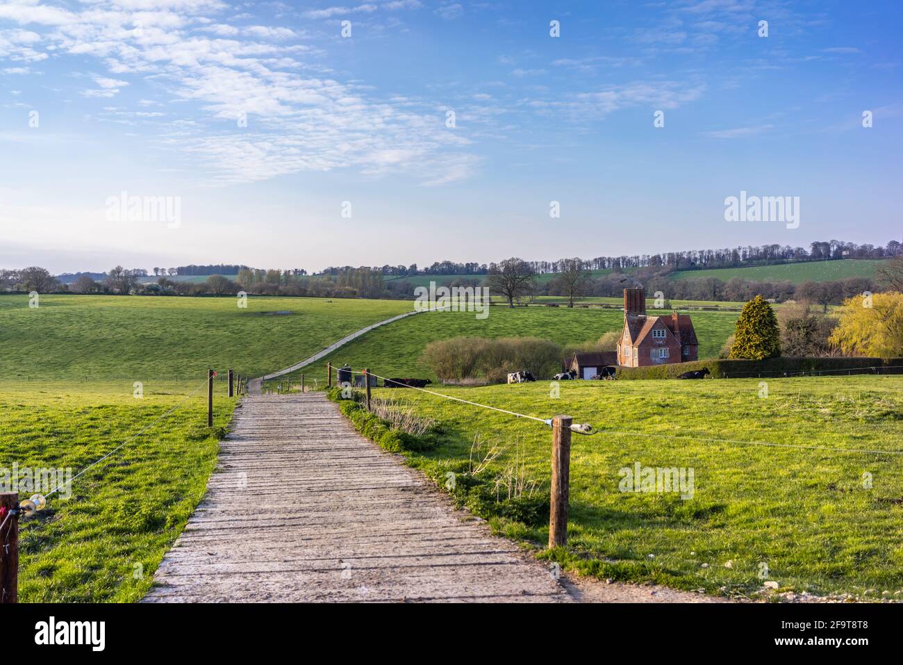Vista panoramica sui campi del North Wessex Downs durante la primavera 2021, Wiltshire, Inghilterra, Regno Unito Foto Stock