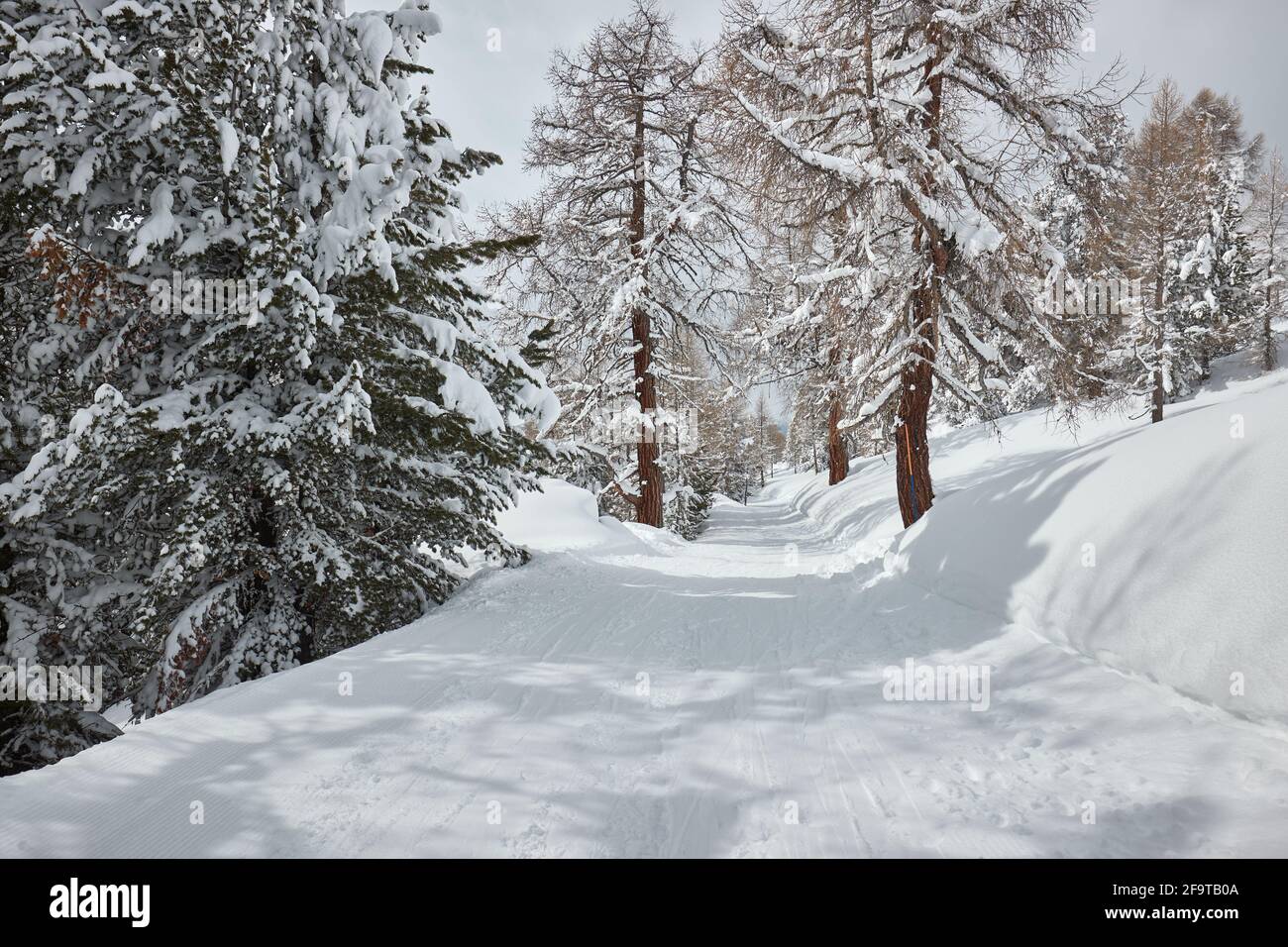 Inverno nevoso paesaggio di montagna Foto Stock